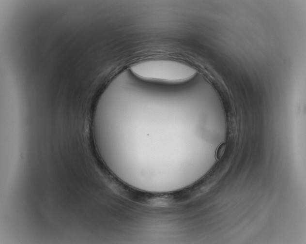 X0000111520505200907141239