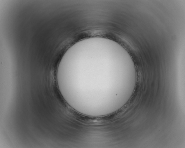 X0000111520506200907141239