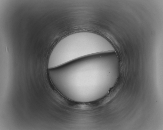 X0000111520509200907141239