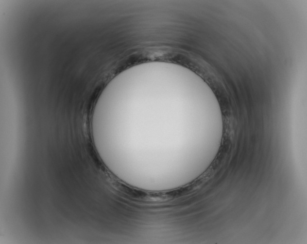 X0000111520510200907141239