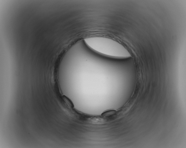 X0000111520512200907141239