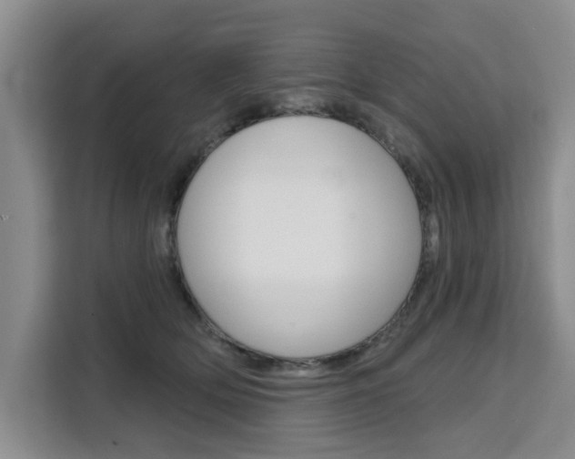 X0000111520514200907141239