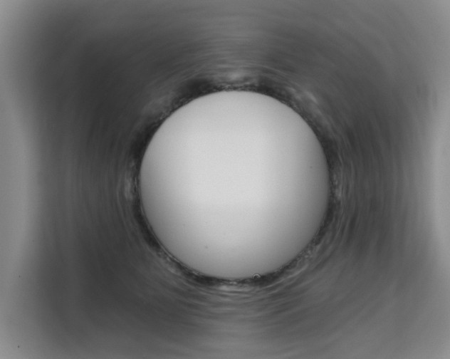 X0000111520515200907141239