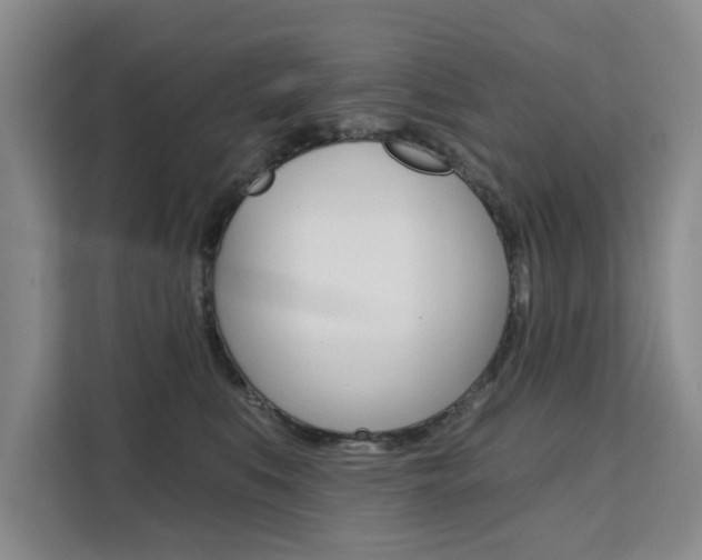 X0000111520519200907141239