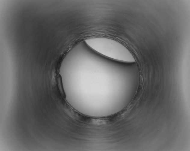 X0000111520520200907141239
