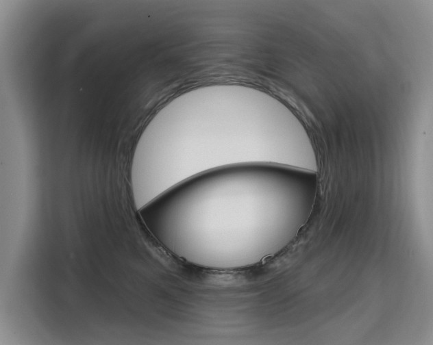 X0000111520521200907141239