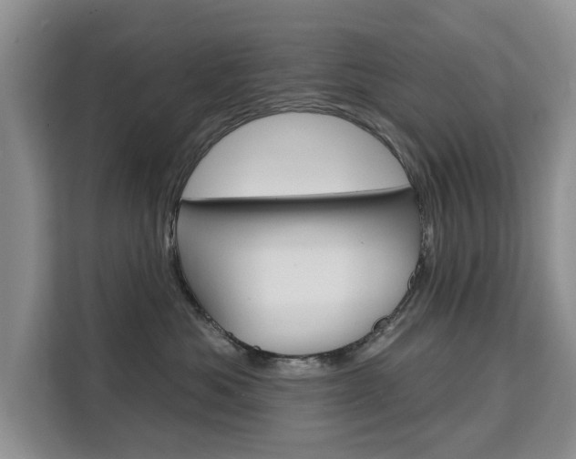 X0000111520525200907141239