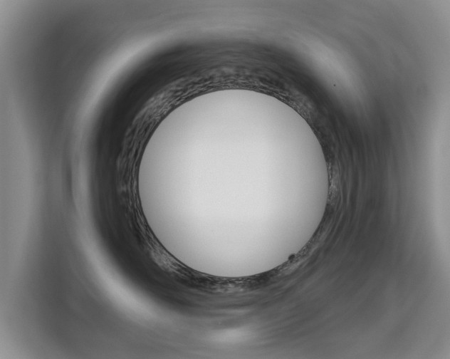 X0000111520526200907141239