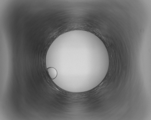 X0000111520528200907141239