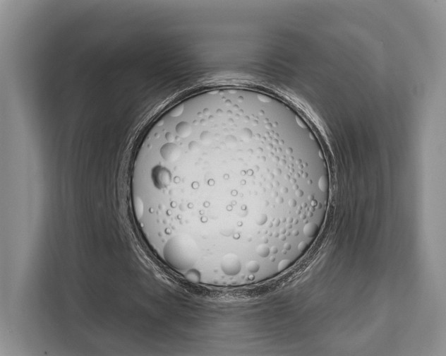 X0000111520529200907141238