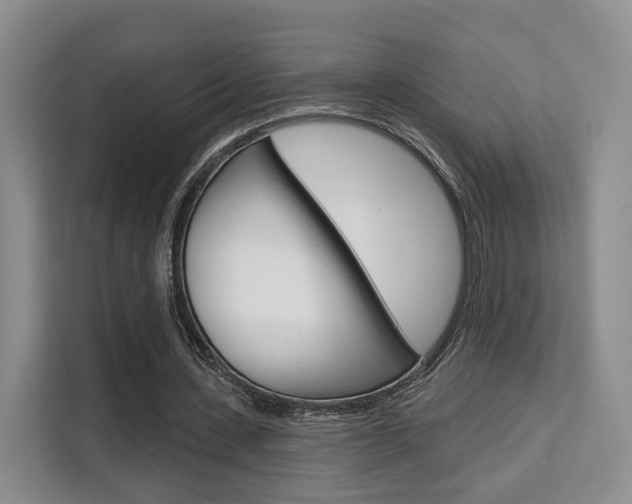 X0000111520531200907141238