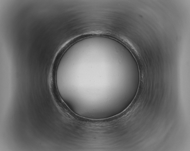 X0000111520532200907141238