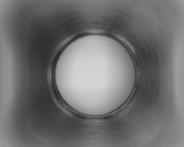 X0000111520533200907141238