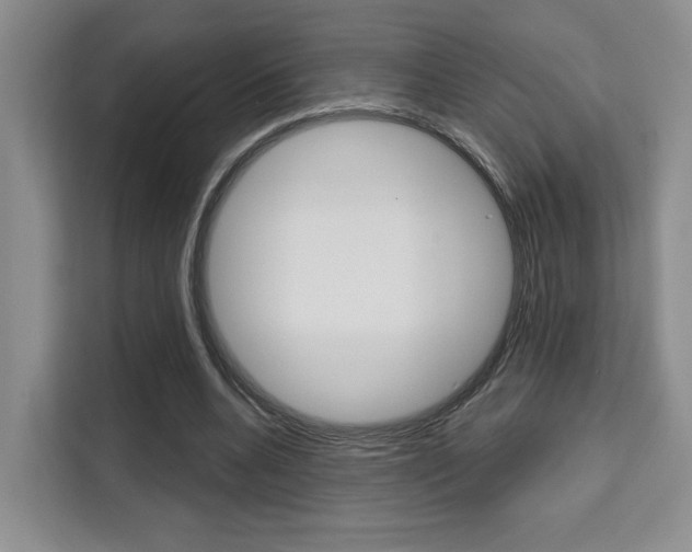 X0000111520536200907141238