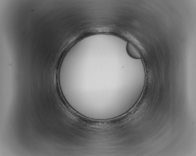 X0000111520537200907141238