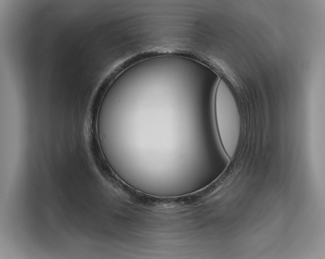 X0000111520540200907141238