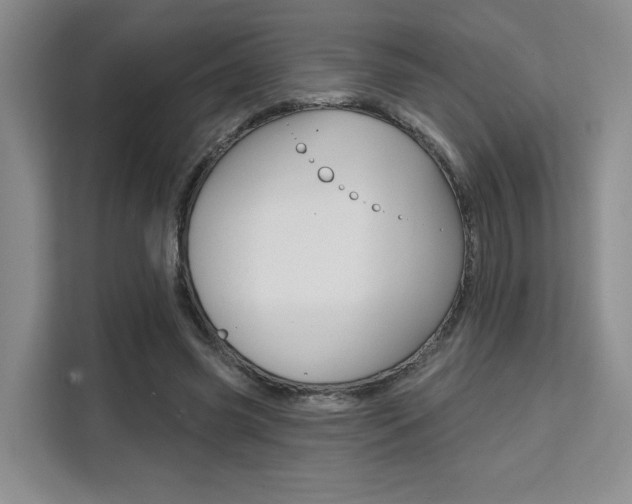 X0000111520541200907141238