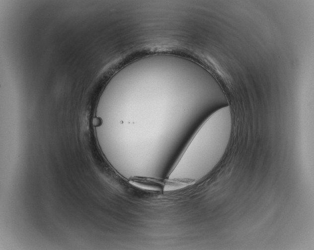 X0000111520543200907141238