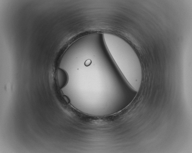 X0000111520544200907141238