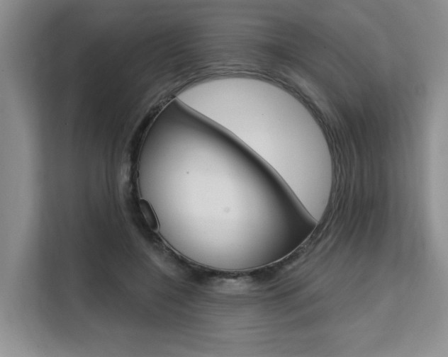 X0000111520548200907141238