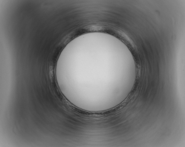 X0000111520549200907141238