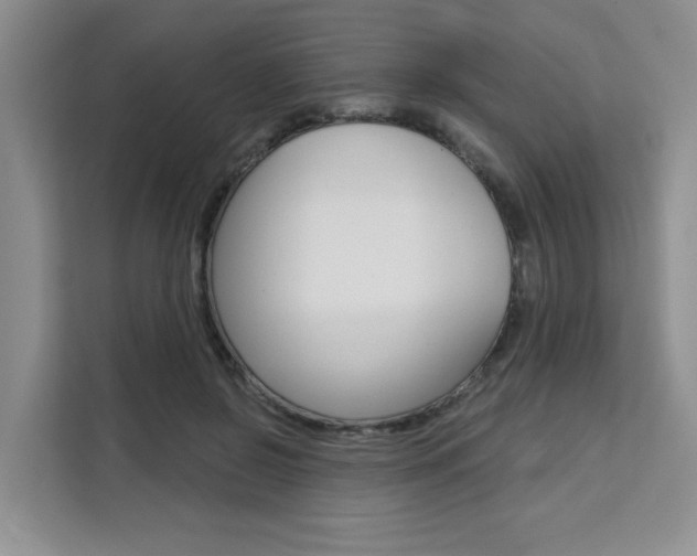 X0000111520550200907141238