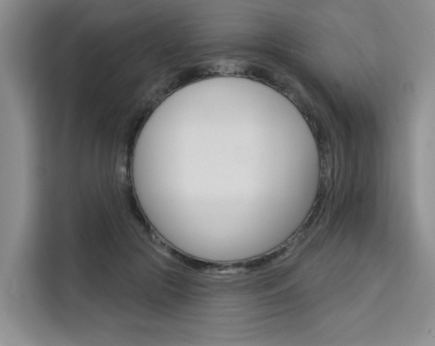 X0000111520553200907141238