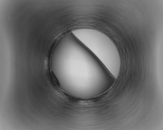 X0000111520556200907141238
