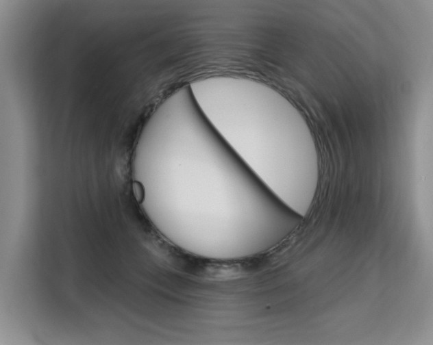 X0000111520559200907141238