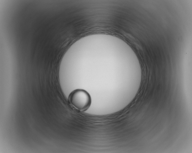 X0000111520560200907141238