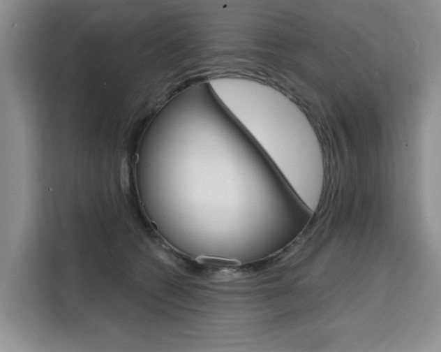 X0000111520562200907141238