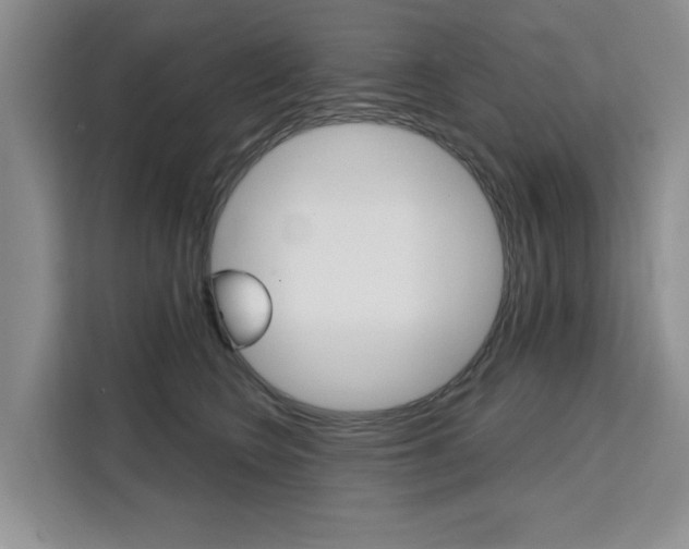X0000111520566200907141239
