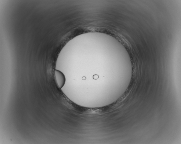X0000111520569200907141239