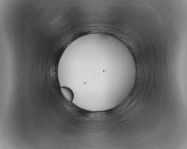 X0000111520571200907141239