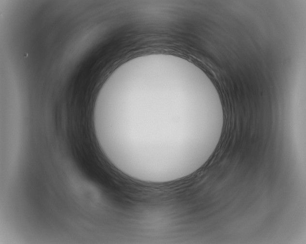 X0000111520572200907141239