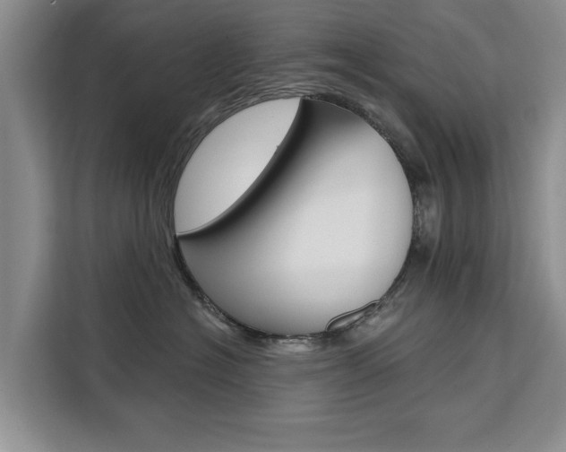 X0000111520574200907141239