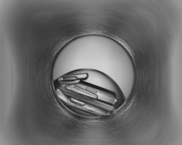 X0000111520577200907141238