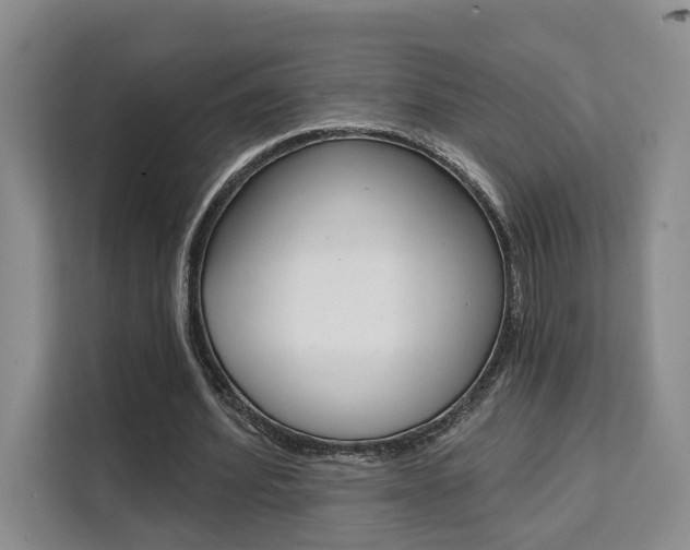 X0000111520580200907141238