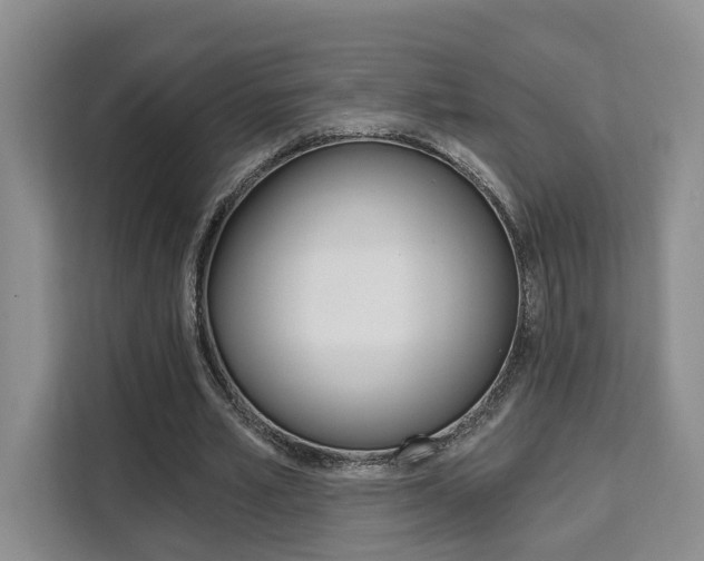 X0000111520581200907141238