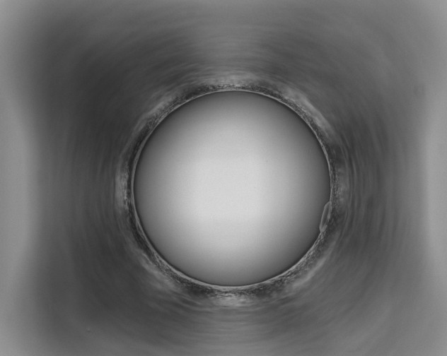 X0000111520585200907141238