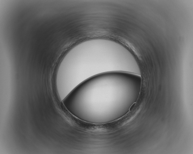 X0000111520589200907141238