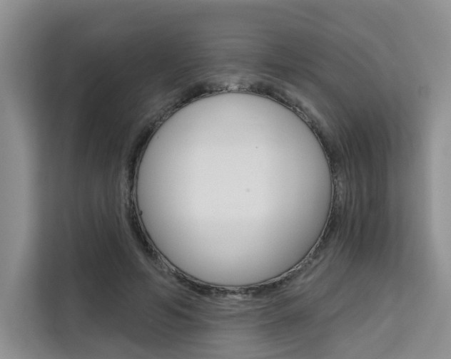 X0000111520594200907141238