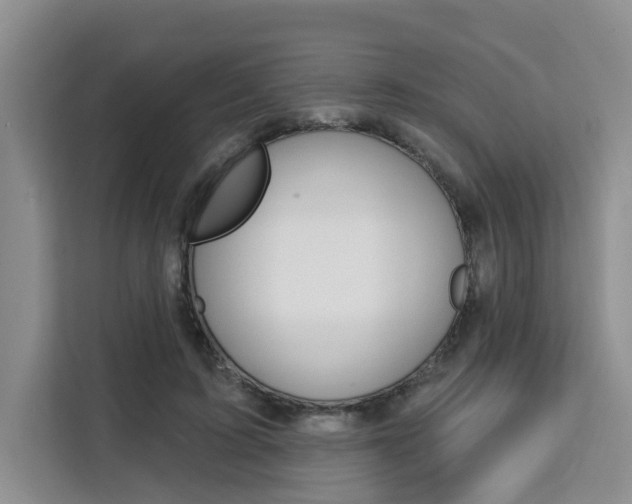 X0000111520595200907141238