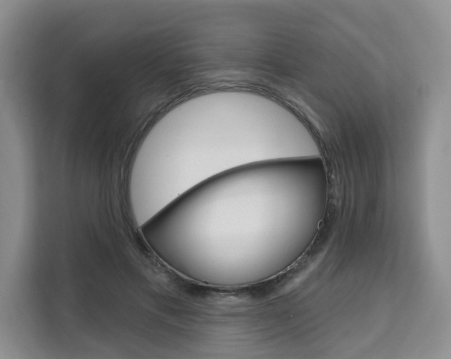 X0000111520597200907141238