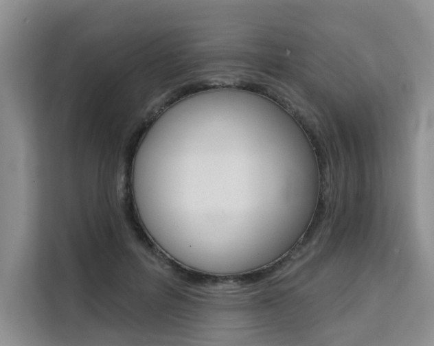 X0000111520600200907141238