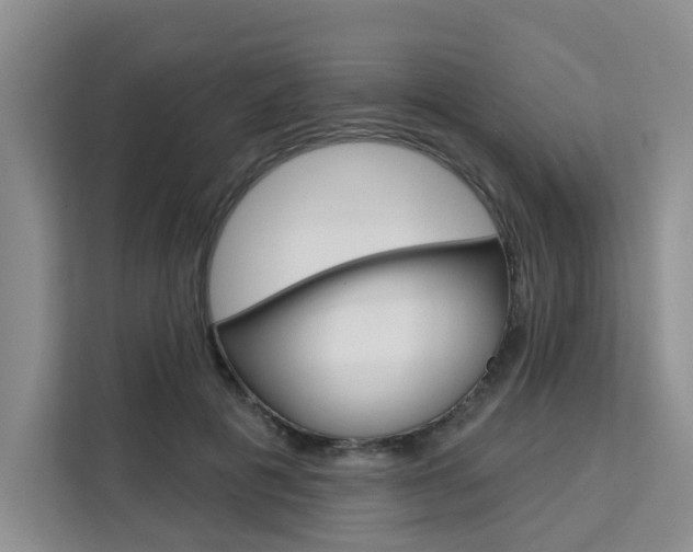 X0000111520601200907141238