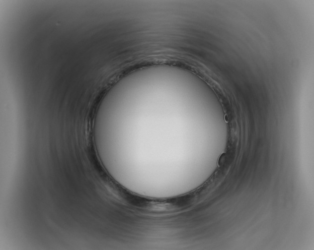 X0000111520605200907141238