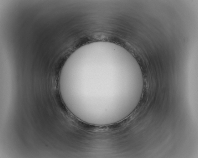 X0000111520606200907141238