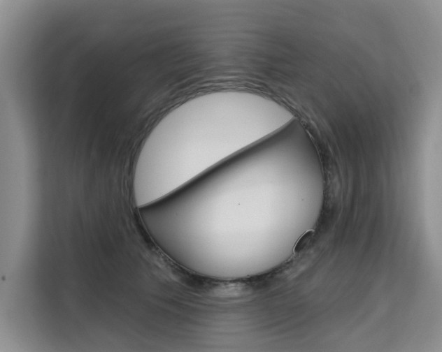 X0000111520609200907141238