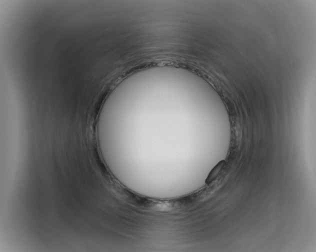 X0000111520611200907141238